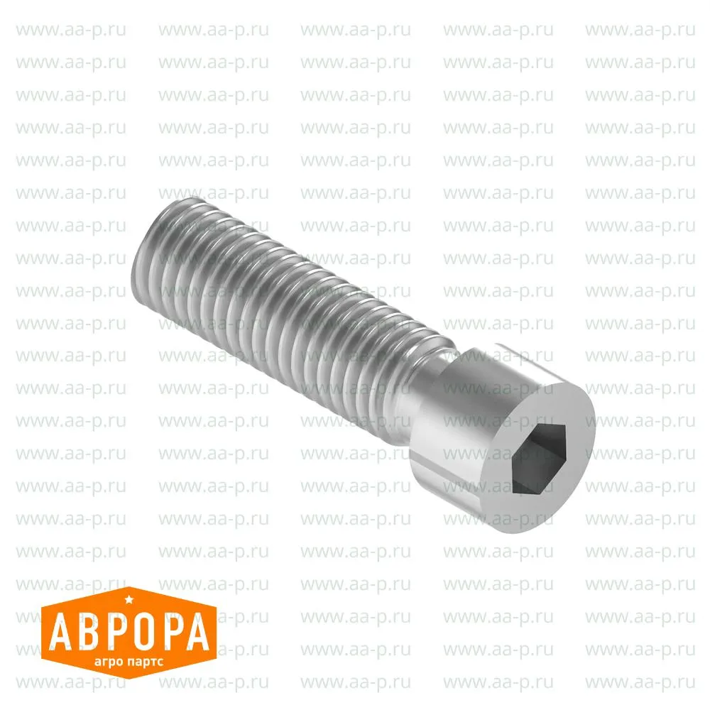 R266977 ВИНТ  С  ГОЛ.  ПТОРЦ.  КЛ.